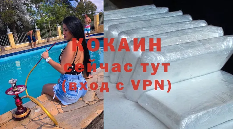 Cocaine FishScale  KRAKEN как войти  Кыштым  купить закладку 